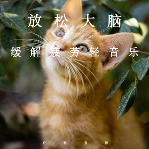 999zyz色资源站在线观看
